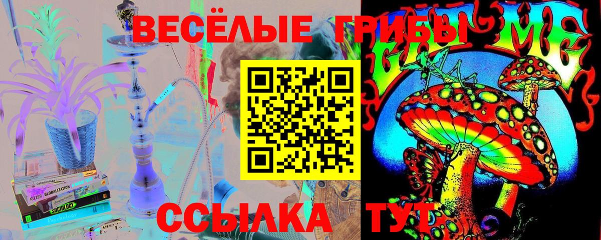 Псилоцибиновые грибы Psilocybine cubensis Янаул