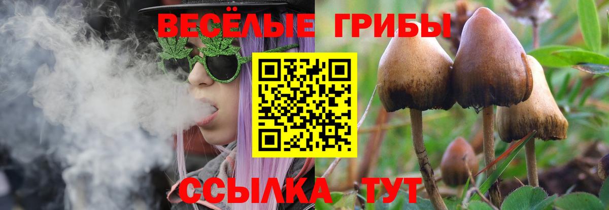 Псилоцибиновые грибы Psilocybine cubensis  Вход с VPN  наркота  Янаул 